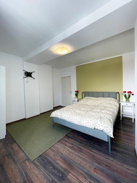 Rahova - Sebastian  Garsoniera 32 mp fara bucatarie   recent renovata